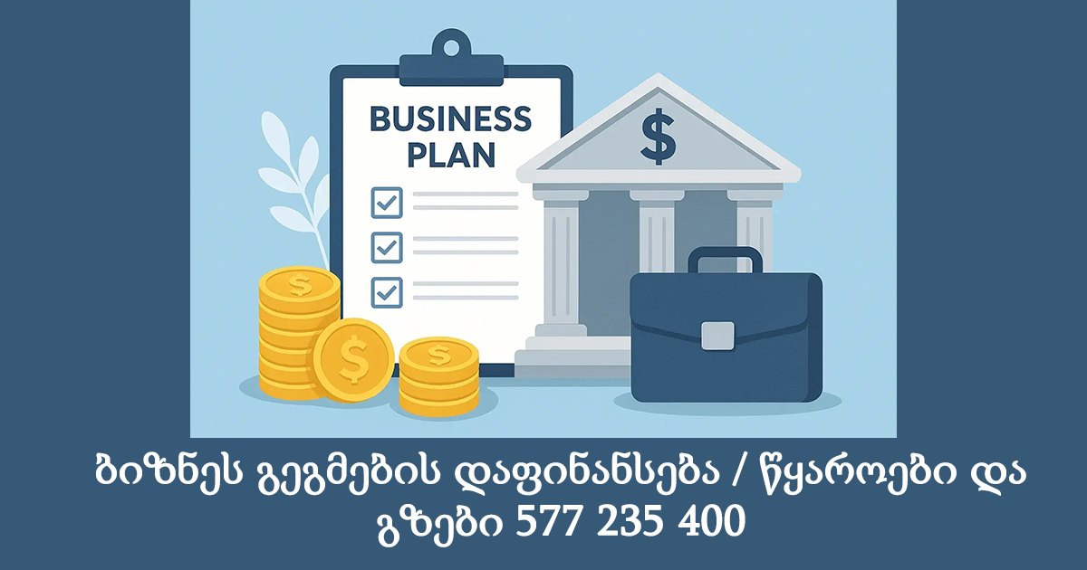 ბიზნეს გეგმების დაფინანსება / წყაროები და გზები ბიზნეს გეგმების დაფინანსება / წყაროები და გზები