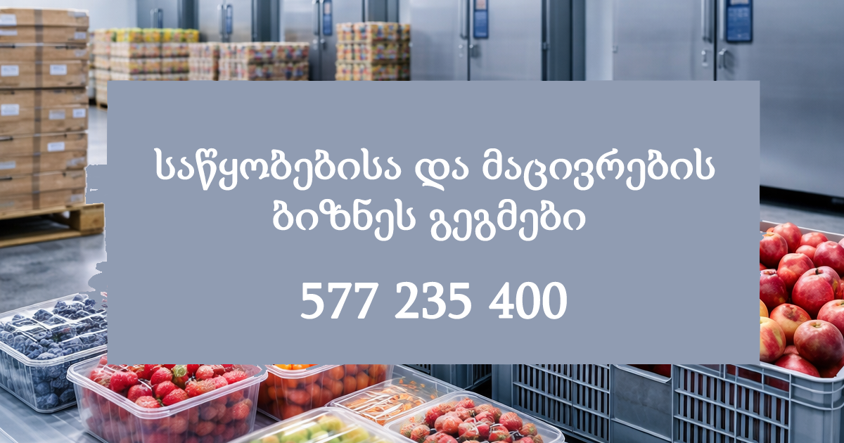 საწყობებისა და მაცივრების ბიზნეს გეგმები 