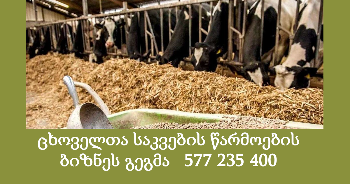 ცხოველთა საკვების წარმოების ბიზნეს გეგმების მომზადება ცხოველთა საკვების წარმოების ბიზნეს გეგმების მომზადება