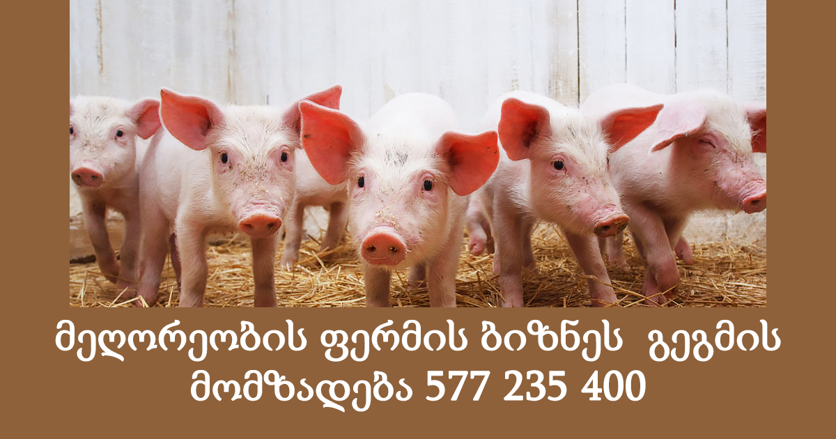 მეღორეობის ფერმის ბიზნეს გეგმების მომზადება 577 235 400 მეღორეობის ფერმის ბიზნეს გეგმების მომზადება 577 235 400