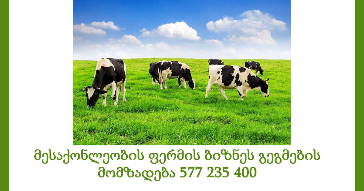 მესაქონლეობის ფერმის ბიზნეს გეგმა