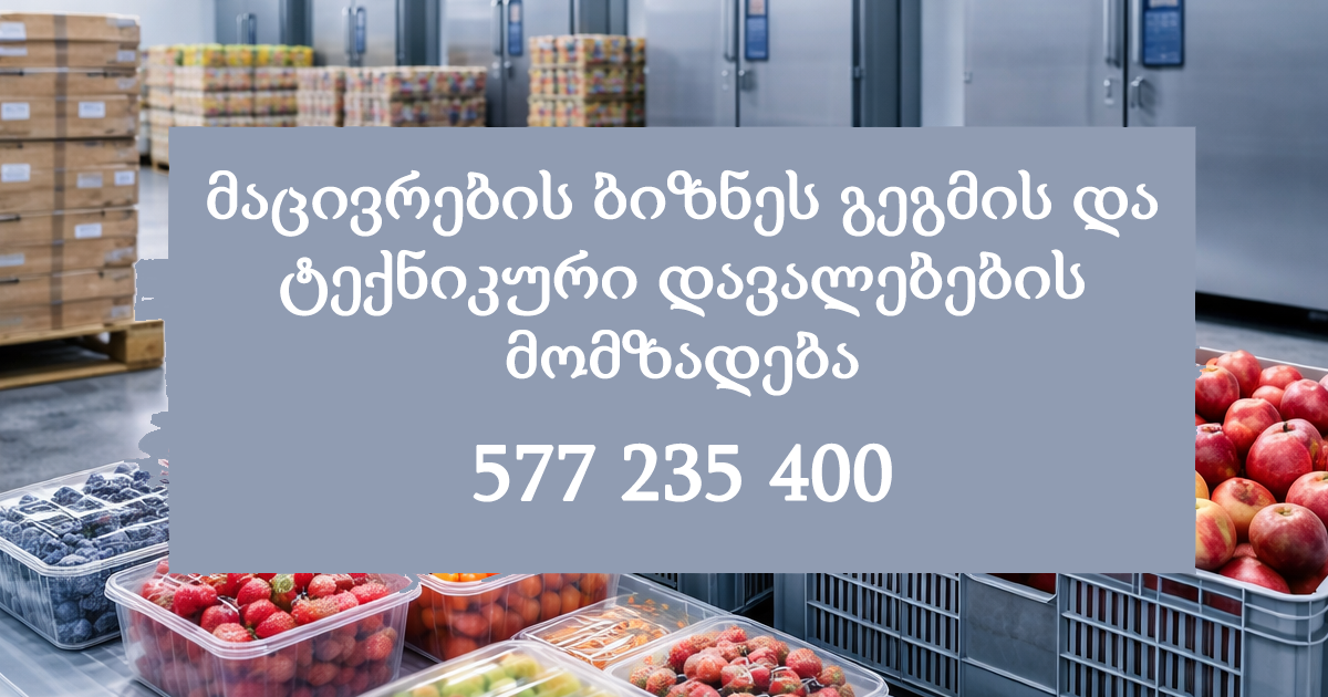 მაცივრების ბიზნეს გეგმის და ტექნიკური დავალებების მომზადება