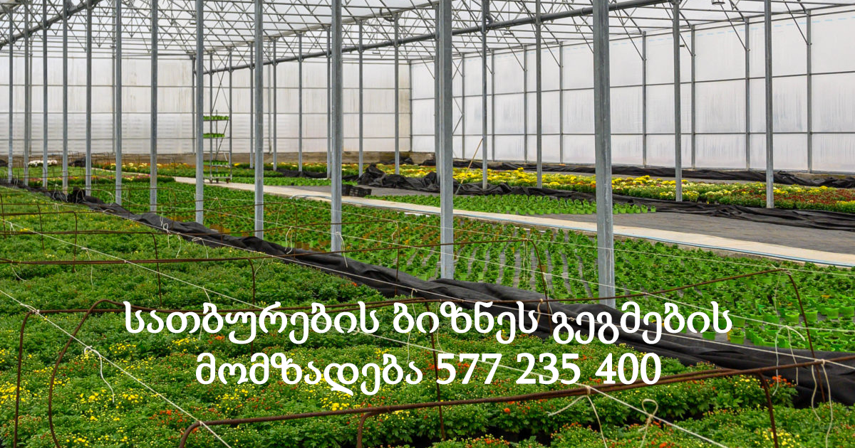 სათბურების ბიზნეს გეგმების მომზადება სათბურების ბიზნეს გეგმების მომზადება