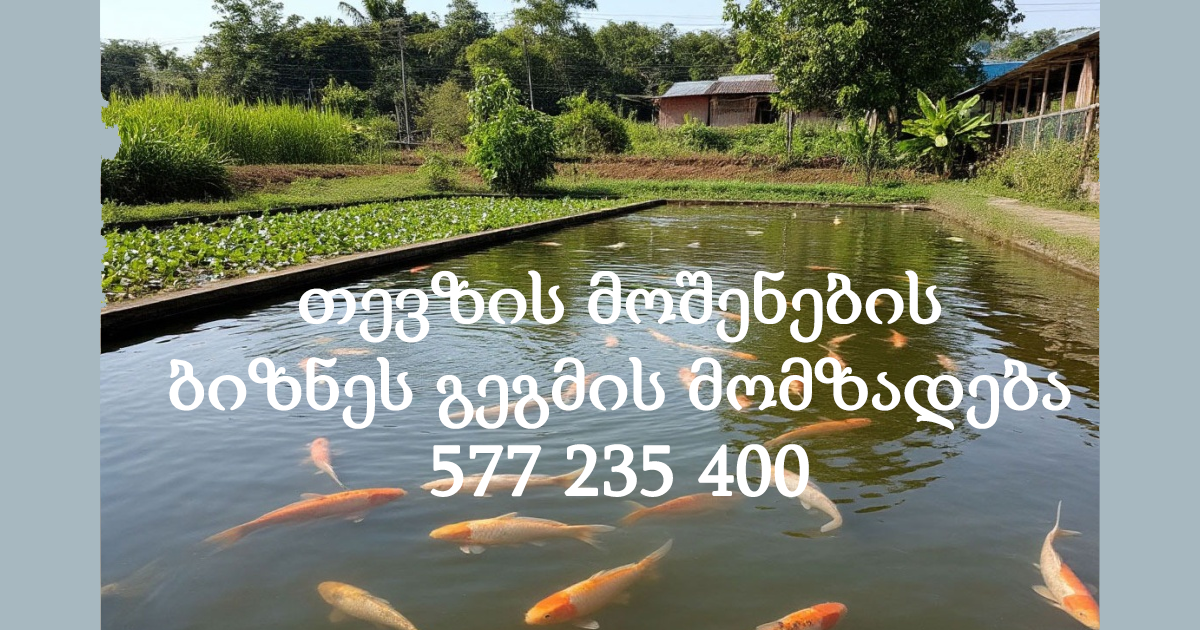 თევზის მოშენება. ბიზნეს გეგმის მომზადება 577 235 400 თევზის მოშენება. ბიზნეს გეგმის მომზადება 577 235 400