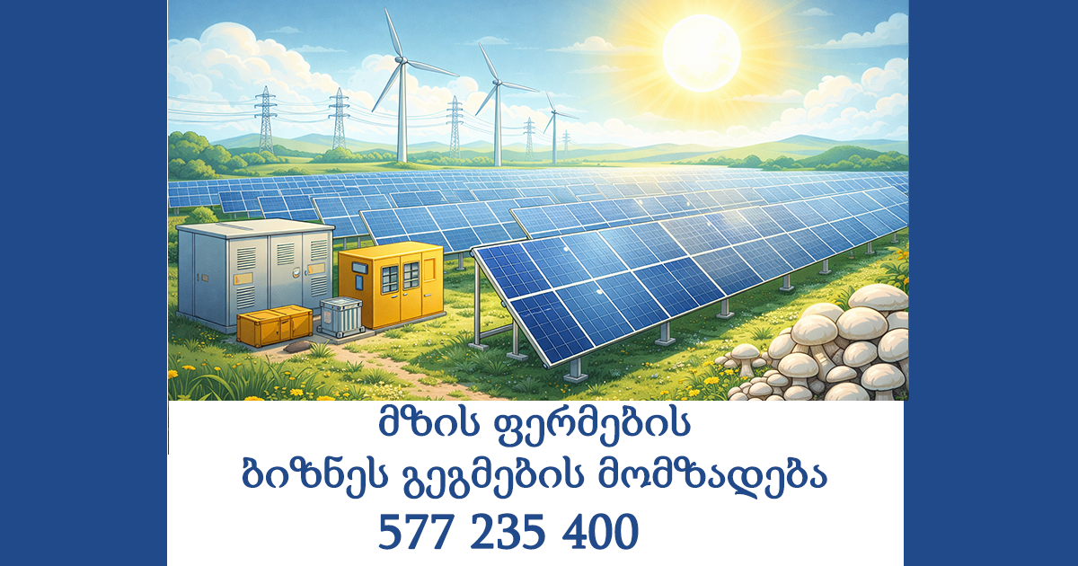 მზის ფერმების (ელექტროსადგურების) ბიზნეს გეგმების მომზადება მზის ფერმების (ელექტროსადგურების) ბიზნეს გეგმების მომზადება