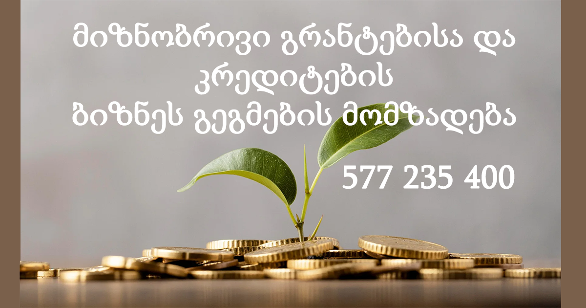 მიზნობრივი გრანტებისა და კრედიტების ბიზნეს გეგმების მომზადება