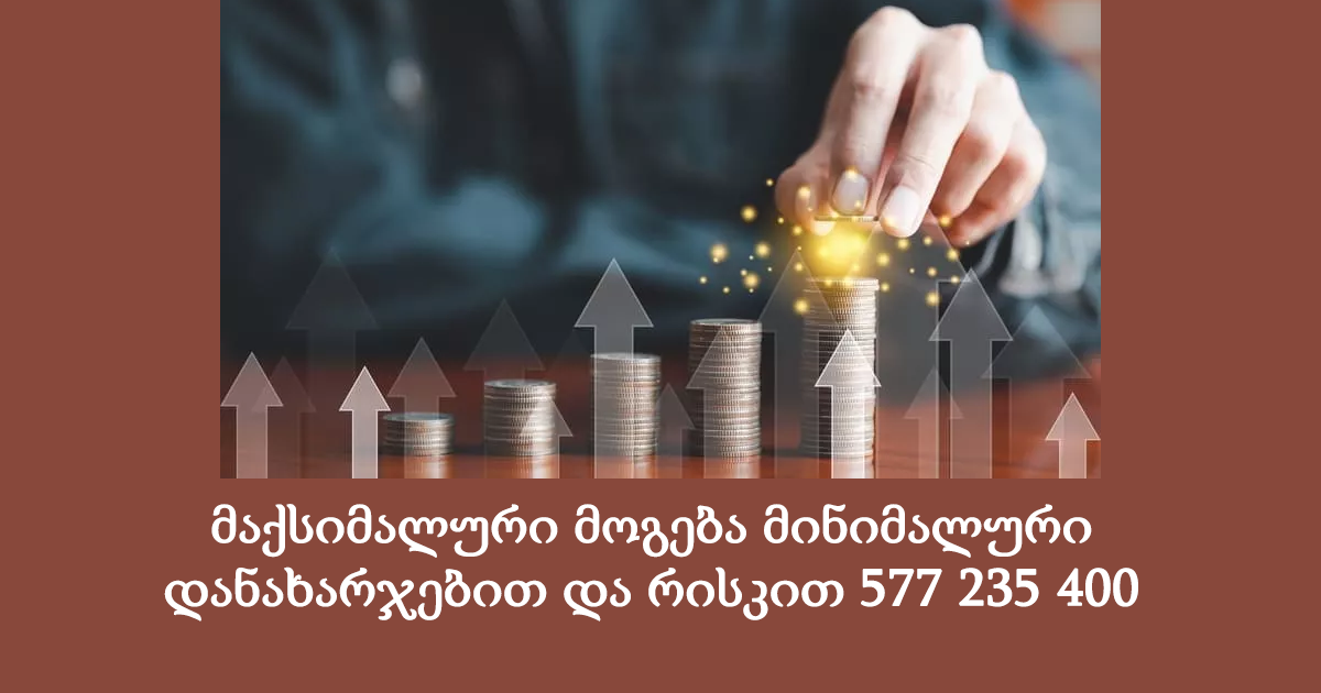 მაქსიმალური მოგება მინიმალური დანახარჯებით და რისკით