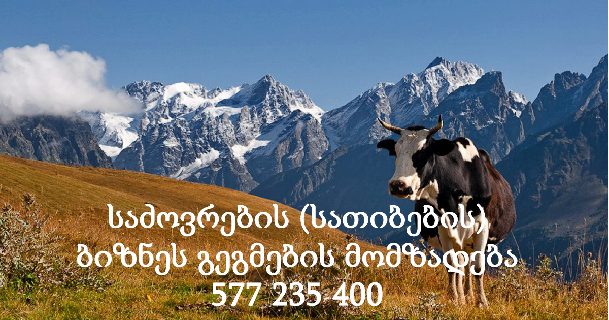 საძოვრების (სათიბების) ბიზნეს გეგმების მომზადება