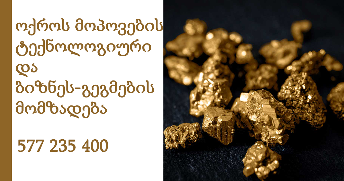 ოქროს მოპოვების ტექნოლოგიური და ბიზნეს-გეგმების მომზადება 