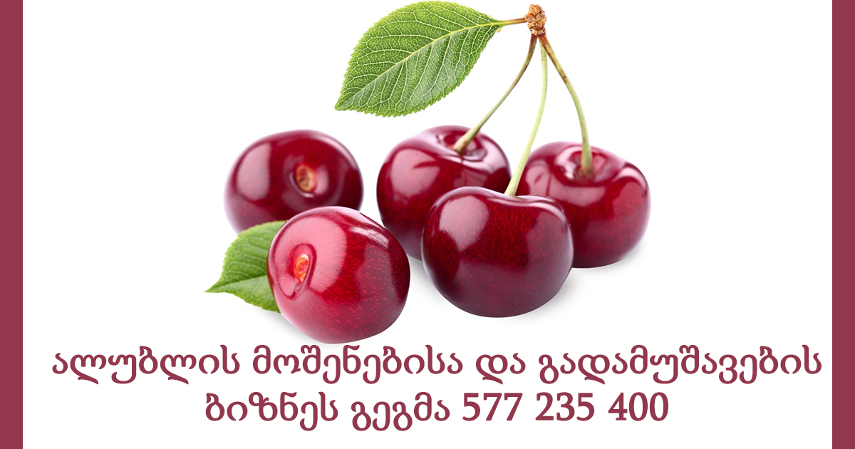 ალუბლის მოშენებისა და გადამუშავების ბიზნეს გეგმა