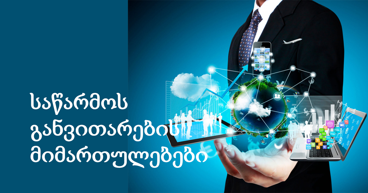 საწარმოს განვითარების მიმართულებები