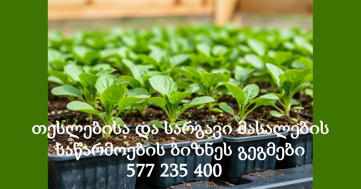 თესლებისა და სარგავი მასალების საწარმოების ბიზნეს გეგმები თესლებისა და სარგავი მასალების საწარმოების ბიზნეს გეგმები