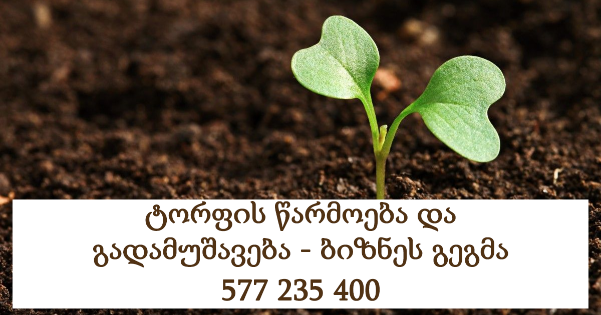 ტორფის წარმოება და გადამუშავება - ბიზნეს გეგმა