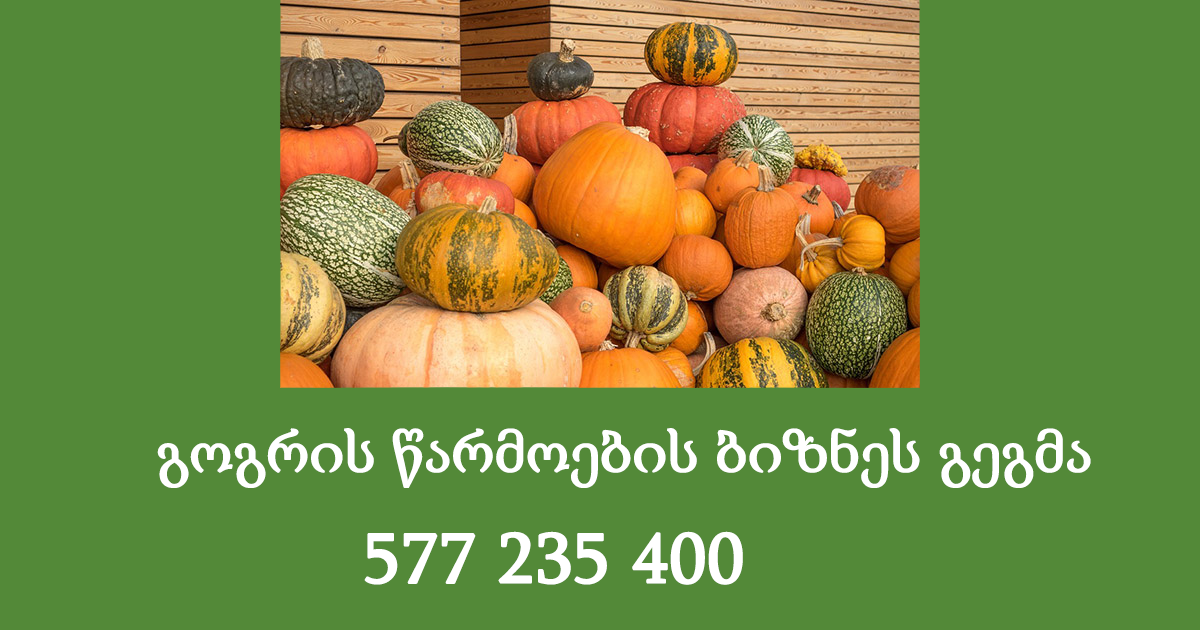 გოგრის წარმოების ბიზნეს გეგმა გოგრის წარმოების ბიზნეს გეგმა