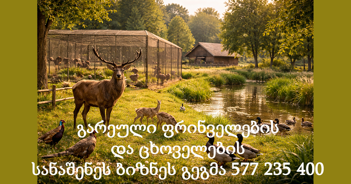 გარეული ფრინველების და ცხოველების სანაშენეს ბიზნეს გეგმა