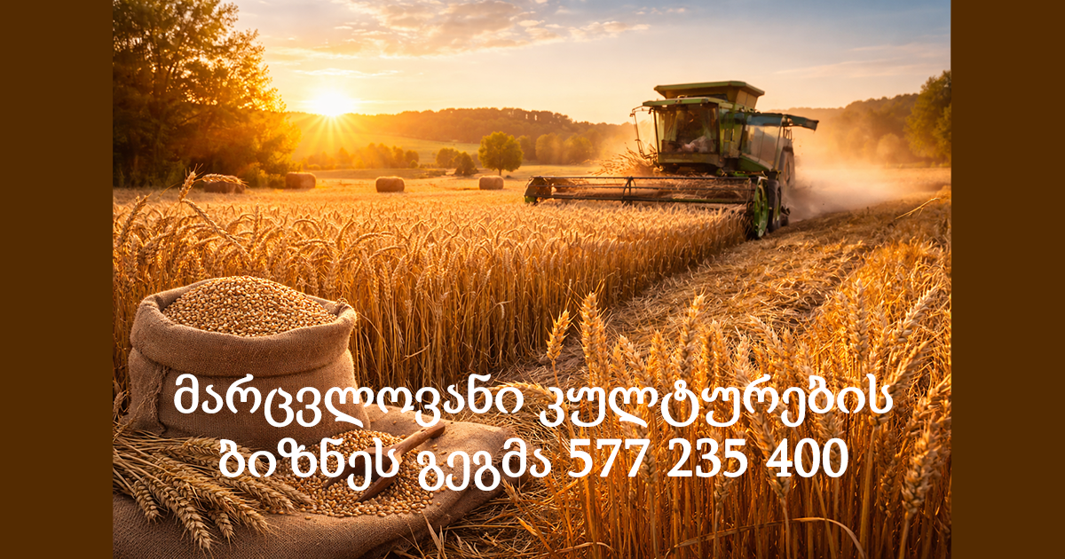 მარცვლოვანი კულტურების ბიზნეს გეგმა