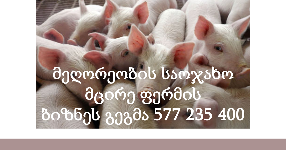 მეღორეობის საოჯახო მცირე ფერმის ბიზნეს გეგმა