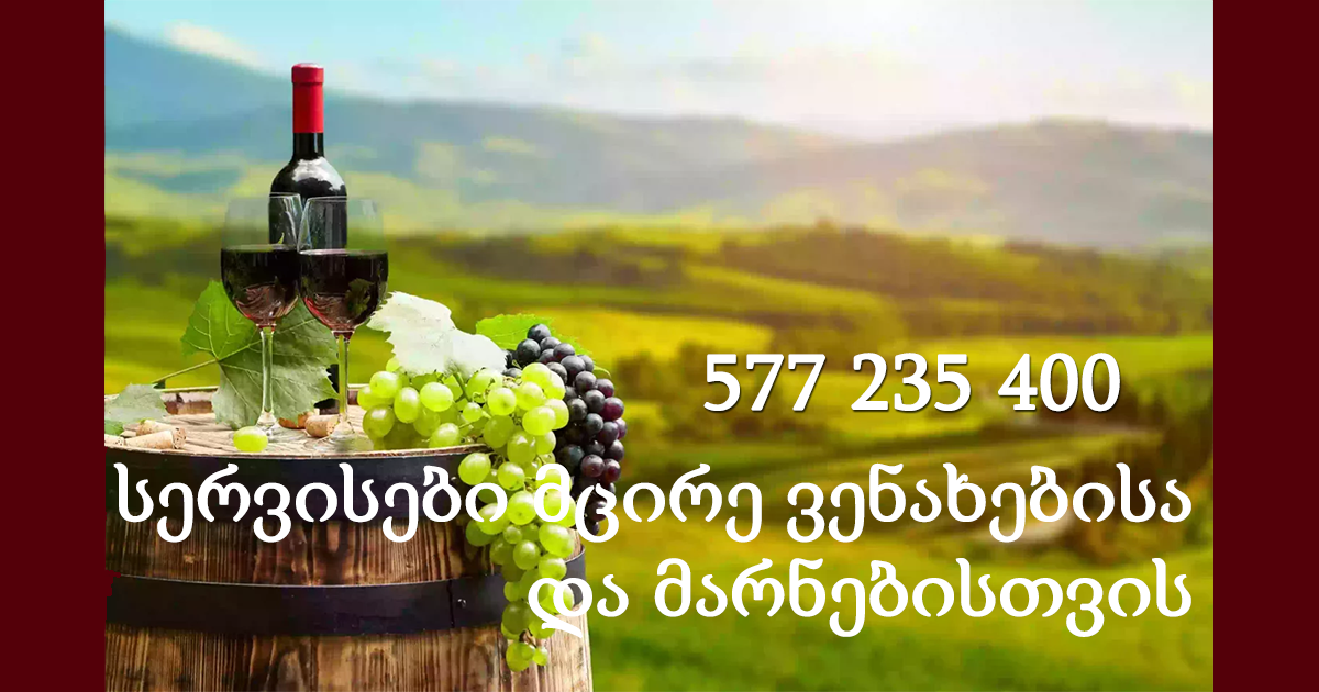 სერვისები მცირე ვენახებისა და მარნებისთვის