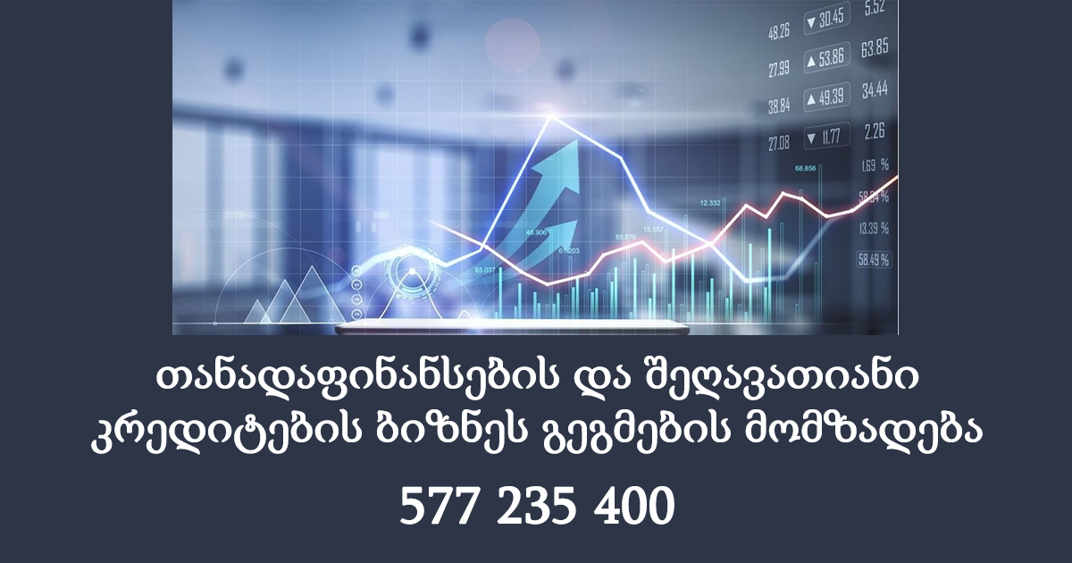 თანადაფინანსებისა და შეღავათიანი კრედიტების ბიზნეს გეგმის მომზადება თანადაფინანსებისა და შეღავათიანი კრედიტების ბიზნეს გეგმის მომზადება
