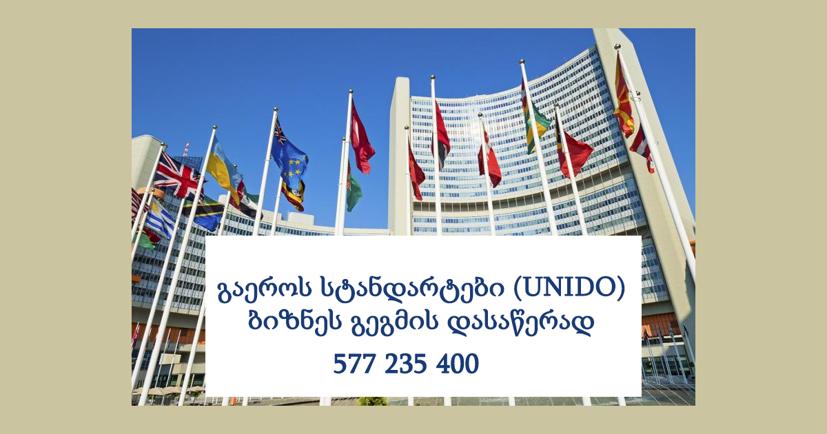 გაეროს სტანდარტები (UNIDO) ბიზნეს გეგმის დასაწერად