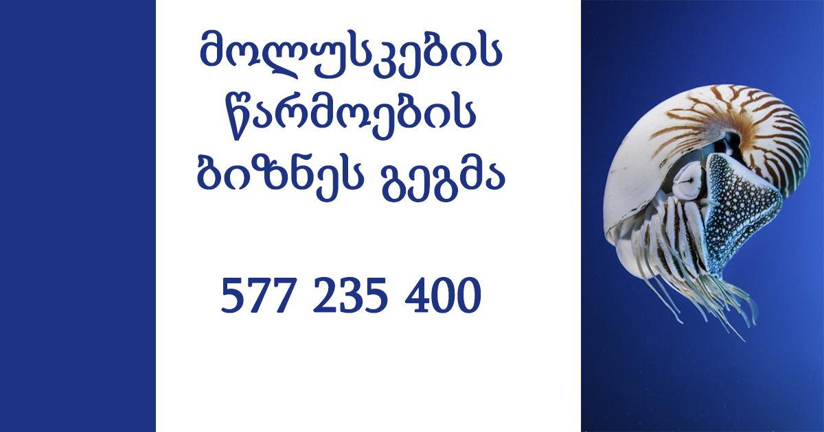 მოლუსკების წარმოების ბიზნეს გეგმების მომზადება