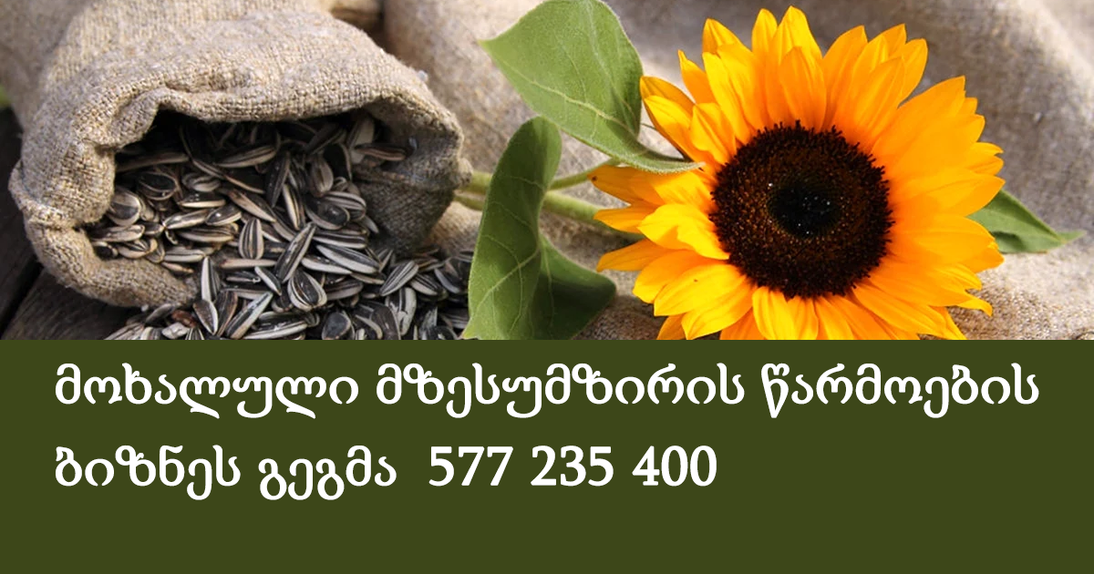 მოხალული მზესუმზირის წარმოების ბიზნეს გეგმა