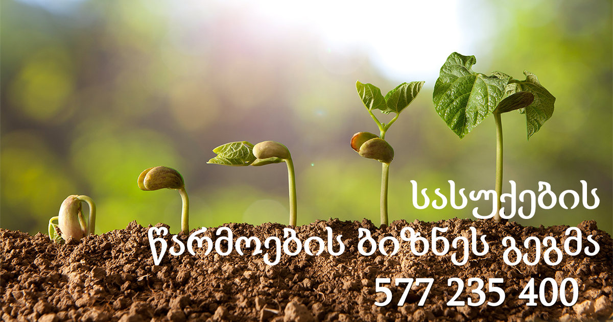 სასუქების (NPK) წარმოების ბიზნეს გეგმა