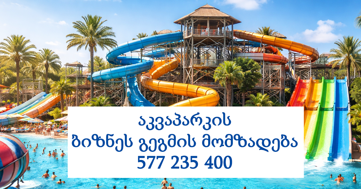 აკვაპარკის ბიზნეს გეგმის მომზადება