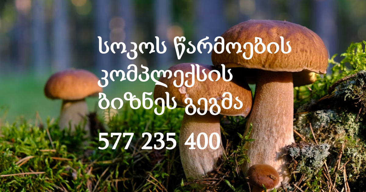 სოკოს წარმოების კომპლექსის ბიზნეს გეგმა